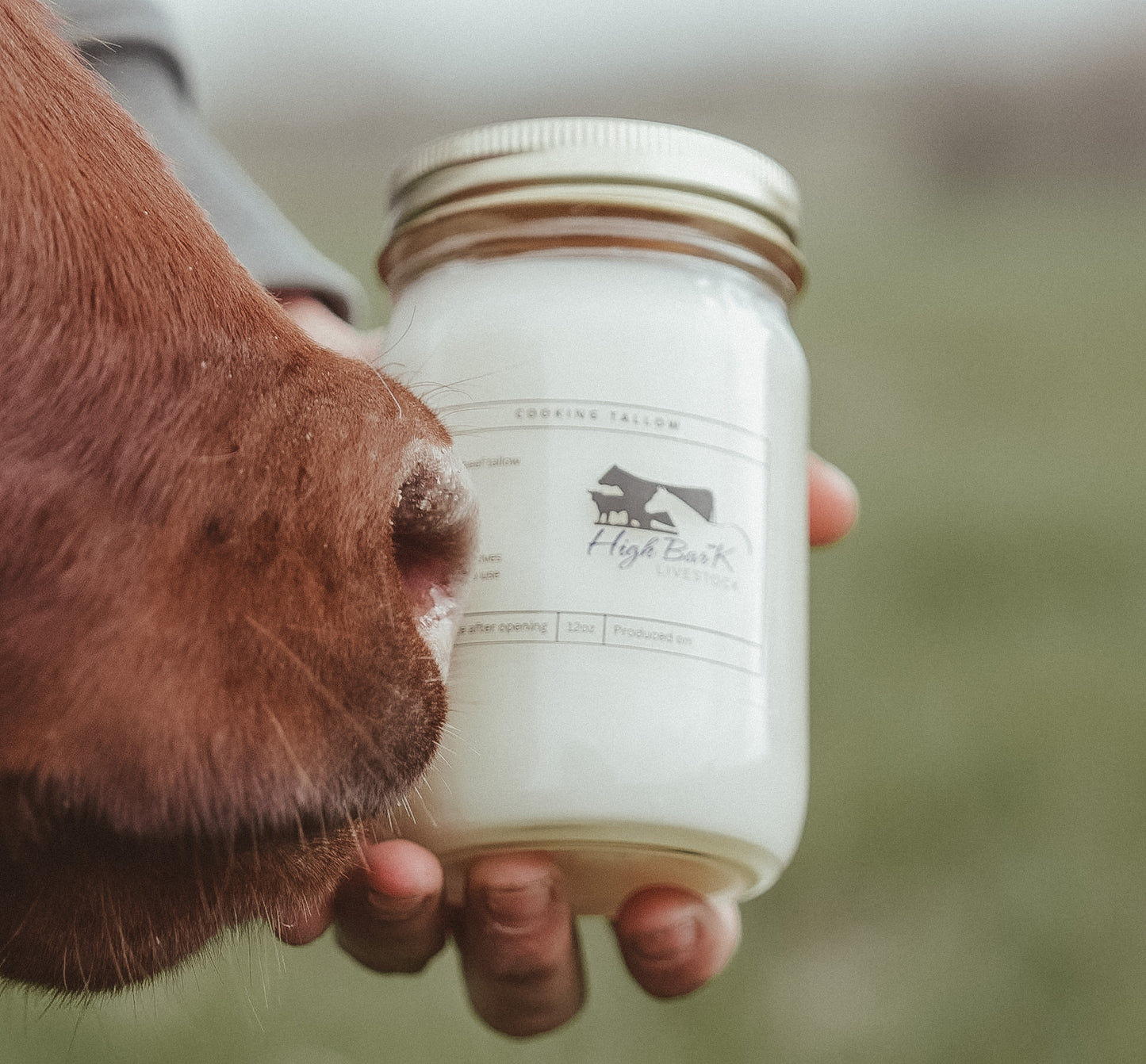 12oz Cooking Tallow